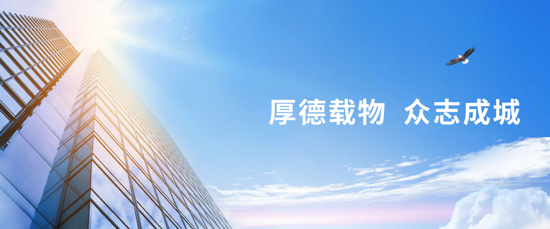 血液制品